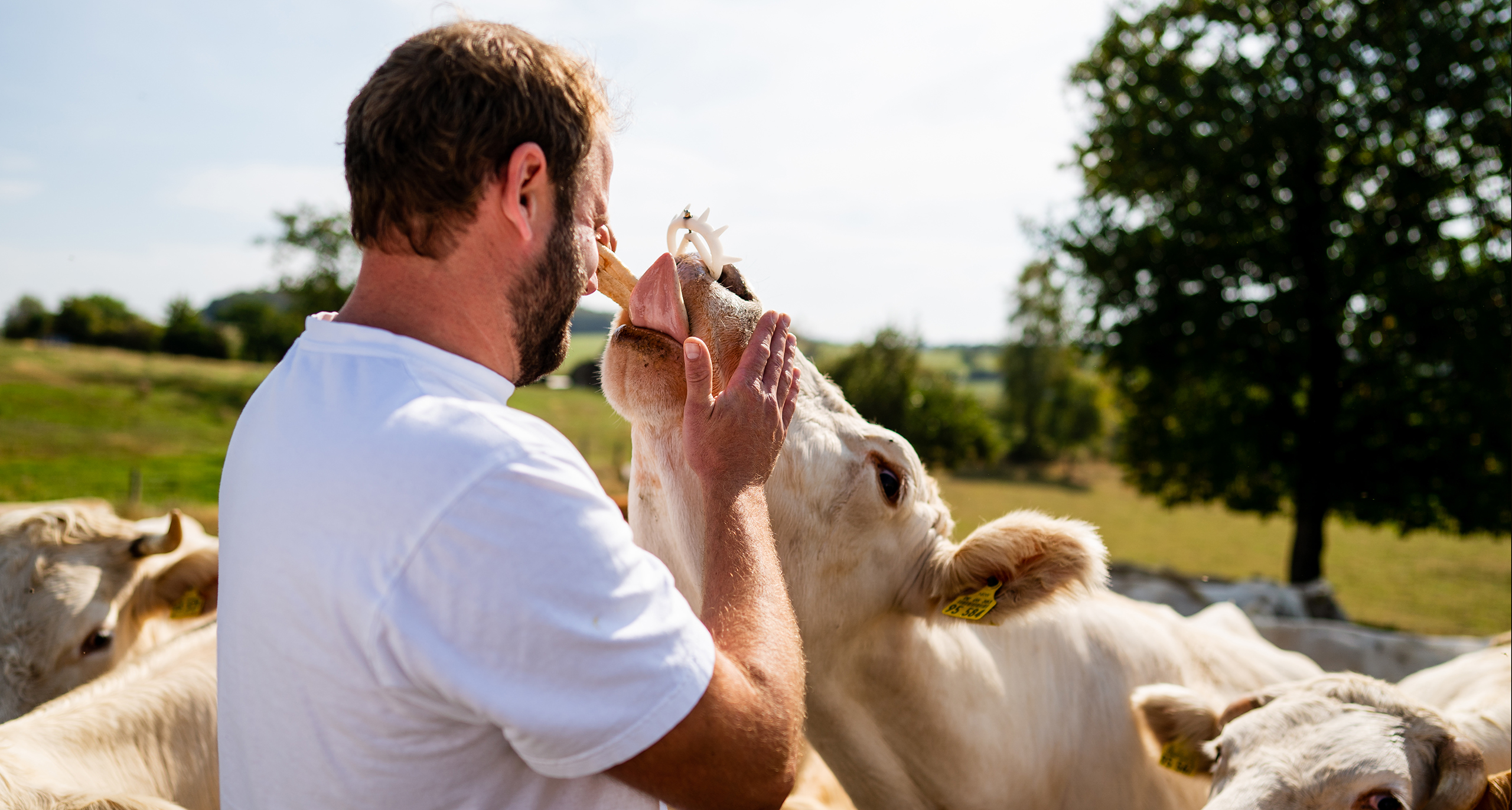 Unsere Tiere